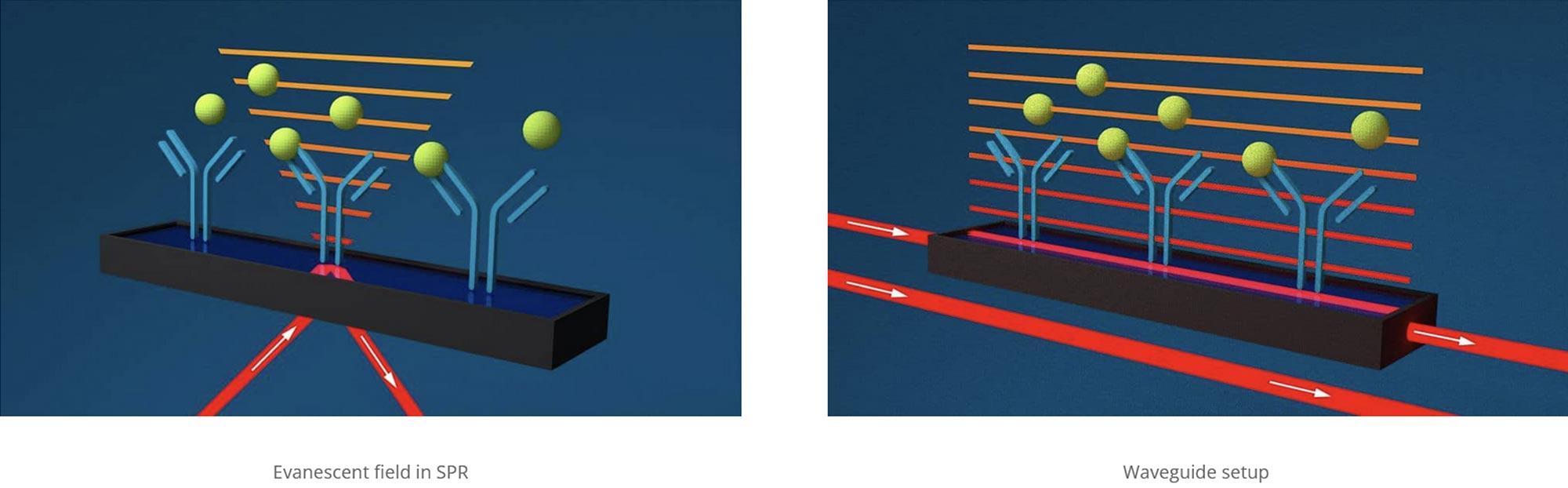 GCI, Grating-Coupled Interferometry, WAVE
