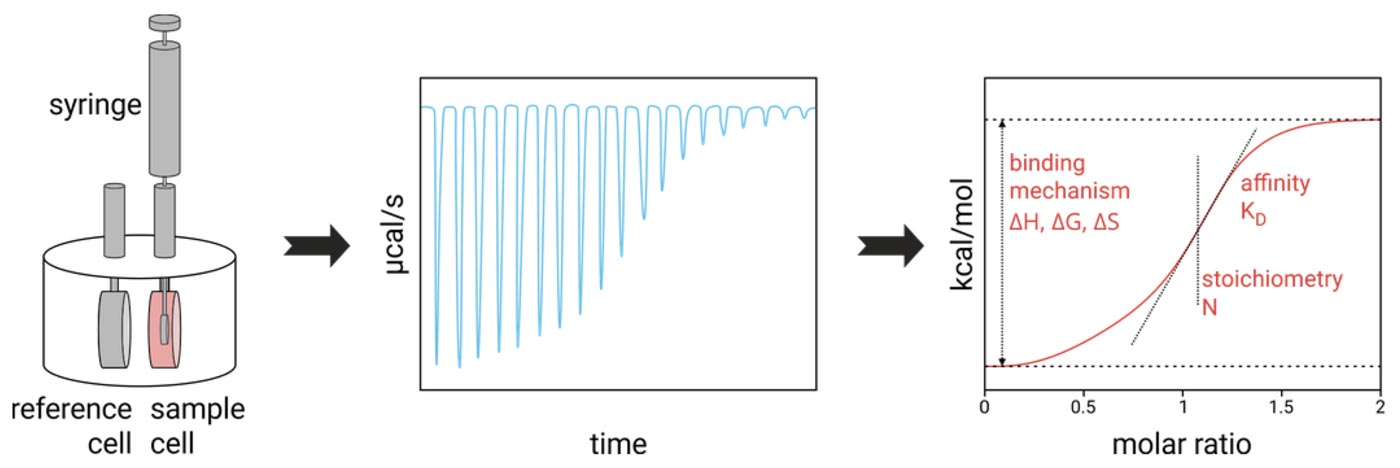 ITC, Malvern, Microcal, Isothermal Titration Calorimetry