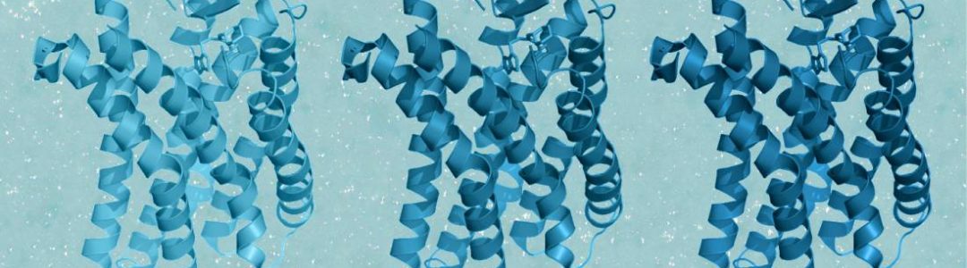 QTY code enables design of detergent-free chemokine receptors that retain ligand-binding activities