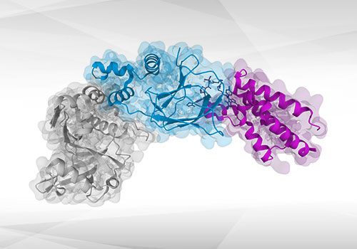 Helix biosensor - SwitchSense - Dynamic biosensors for measuring binding kinetics, conformational change, bi-specific antibodies, PROTACs, molecular glue, enzyme kinetics, single cell binding kinetics - Bioanalytics with Biophysics at 2bind