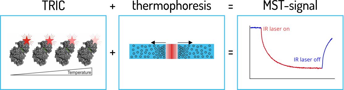 MicroScale Thermophoresis, Thermophoresis, Affinity, Molecular Interaction, Binding Strength, MST